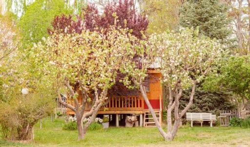 Hosteria La Farfalla 乔斯马拉尔 外观 照片